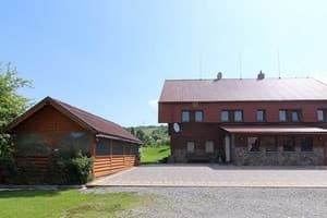 Карпатская орхидея 1