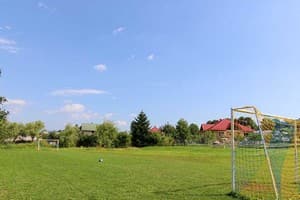 Карпатская орхидея 6