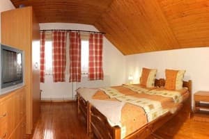 Карпатская орхидея 5