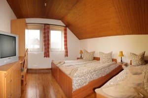 Карпатская орхидея 6