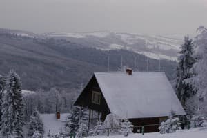 Карпатські полонини 16