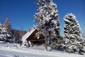 Карпатські полонини 17