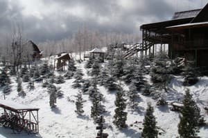 Карпатські полонини 22