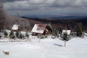 Карпатські полонини 27