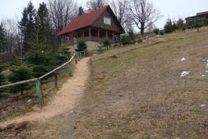 Карпатські полонини 2