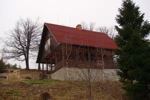 Карпатські полонини 5