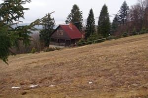 Карпатські полонини 7