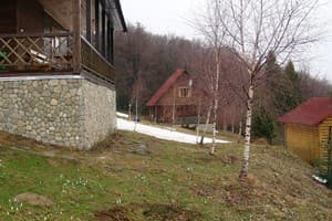 Карпатські полонини 6