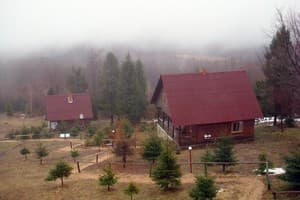 Карпатські полонини 8