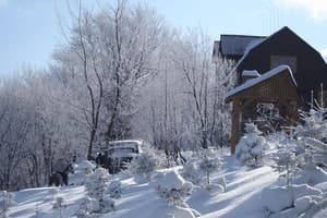 Карпатські полонини 21