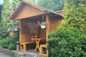 Карпатские Зори 7