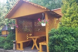 Карпатские Зори 17