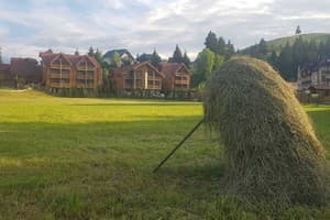 Карпатские Зори 21