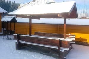 Карпатские Зори 9