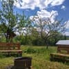 Карпатские мандры 5-6/11