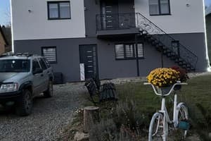 Карпатские мечты 2