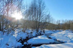 Карпатский Островок 3