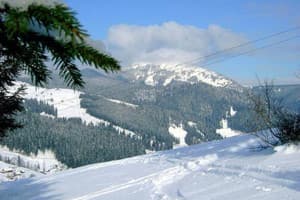 Карпатский домик 6