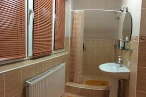 Карпатский домик 9