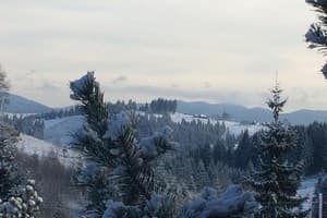 Карпатский домик 12