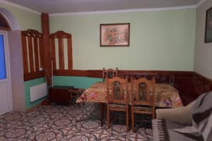 Карпатский домик 8