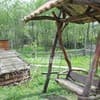 Карпатський водограй 2-3/6
