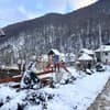 Кипрея 13-14/24