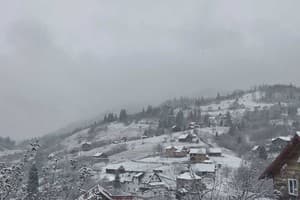 Коло Друзів 4