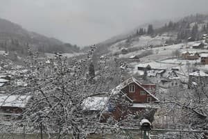 Коло Друзів 12