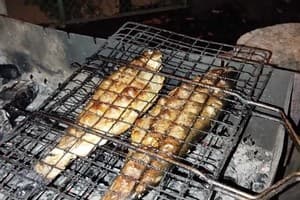 Коло Друзів 14