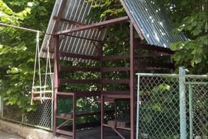 Коло Друзів 19