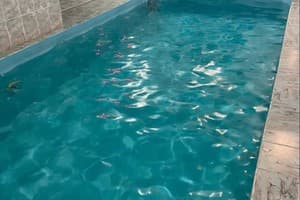 Коло Друзів 24