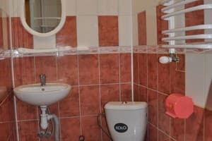Частная усадьба Коло Друзів. Стандарт двухместный без балкона 6
