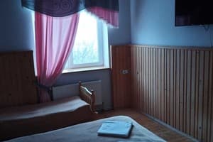 Частная усадьба Коло Друзів. Стандарт двухместный без балкона 2