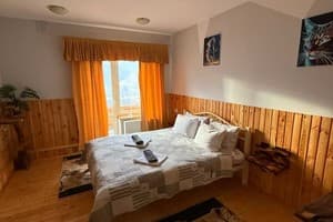 Частная усадьба Коло Друзів. Стандарт двухместный без балкона 8