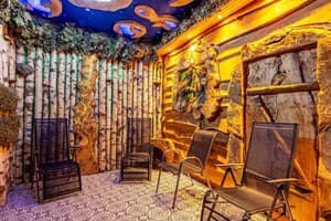 Konopka Forest Home & SPA 13