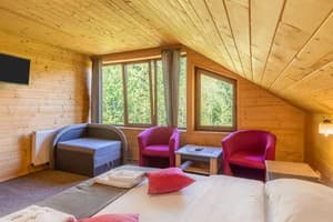 Konopka Forest Home & SPA 19