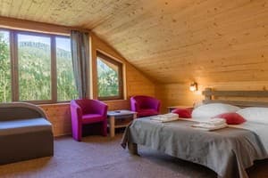 Konopka Forest Home & SPA 21