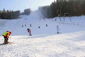 Коттеджный городок Эдельвейс Карпаты Мигово 12