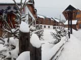 Туристический комплекс Коттеджный городок Эдельвейс Карпаты Мигово