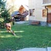 Краєвид 10