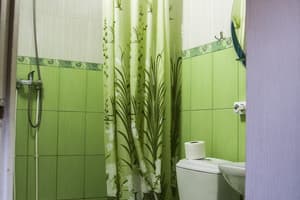 Мини-отель Криворізька Паланка. Стандарт двухместный с балконом 4