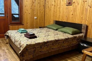 Мини-отель Криворізька Паланка. Стандарт двухместный с балконом 1