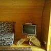 Частная усадьба Крутогора. Четырехместный 1
