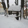 Квелле Поляна 8