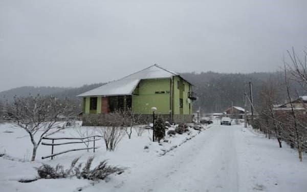 Частная усадьба Лесивых