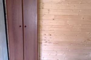 Лесная тишина 5