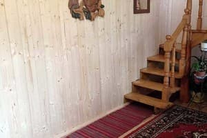 Лесная тишина 4