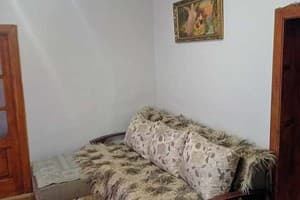 Лесная тишина 11