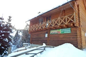 Лесная ягода 22